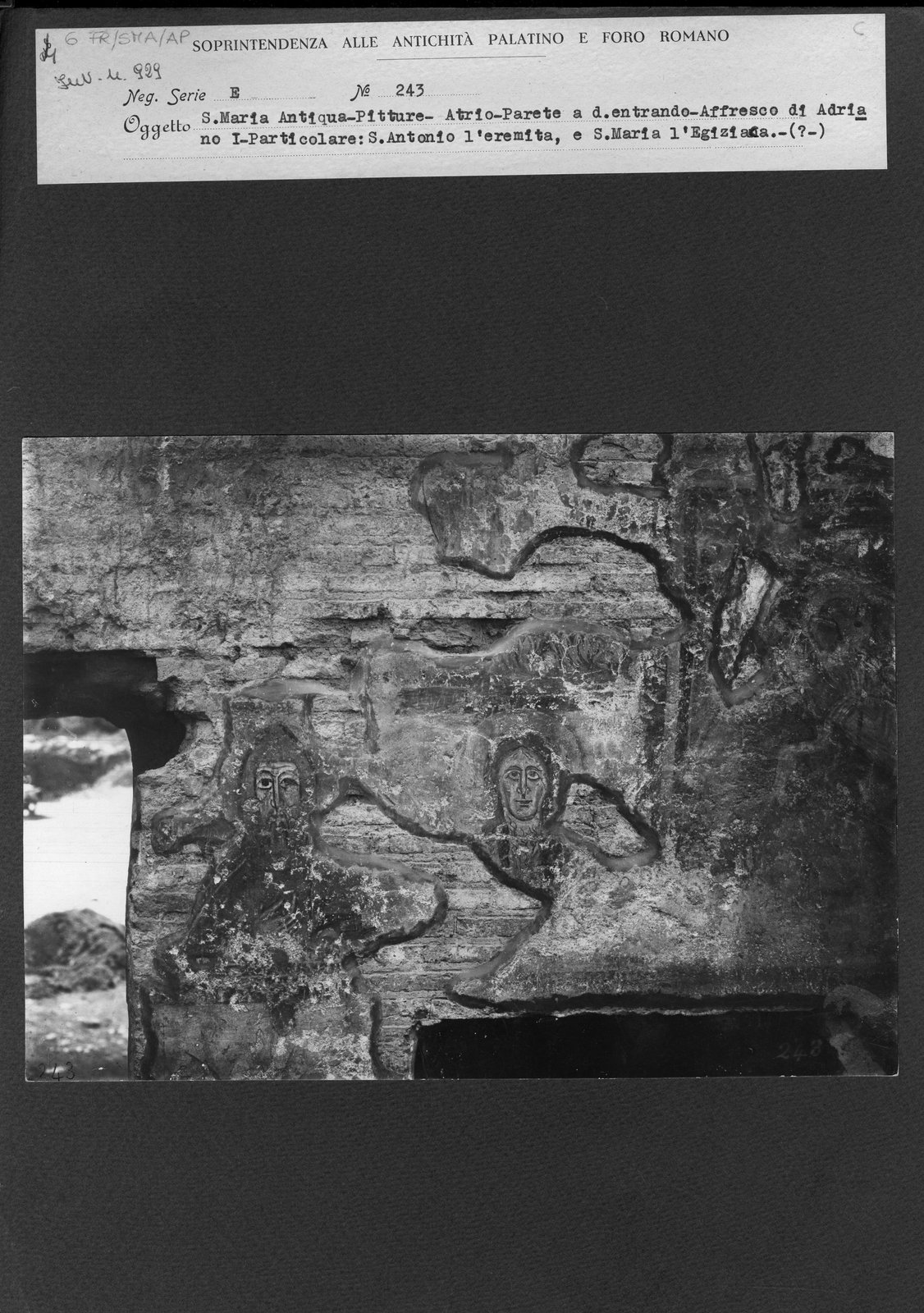 FR-SMA-AP 006.tif