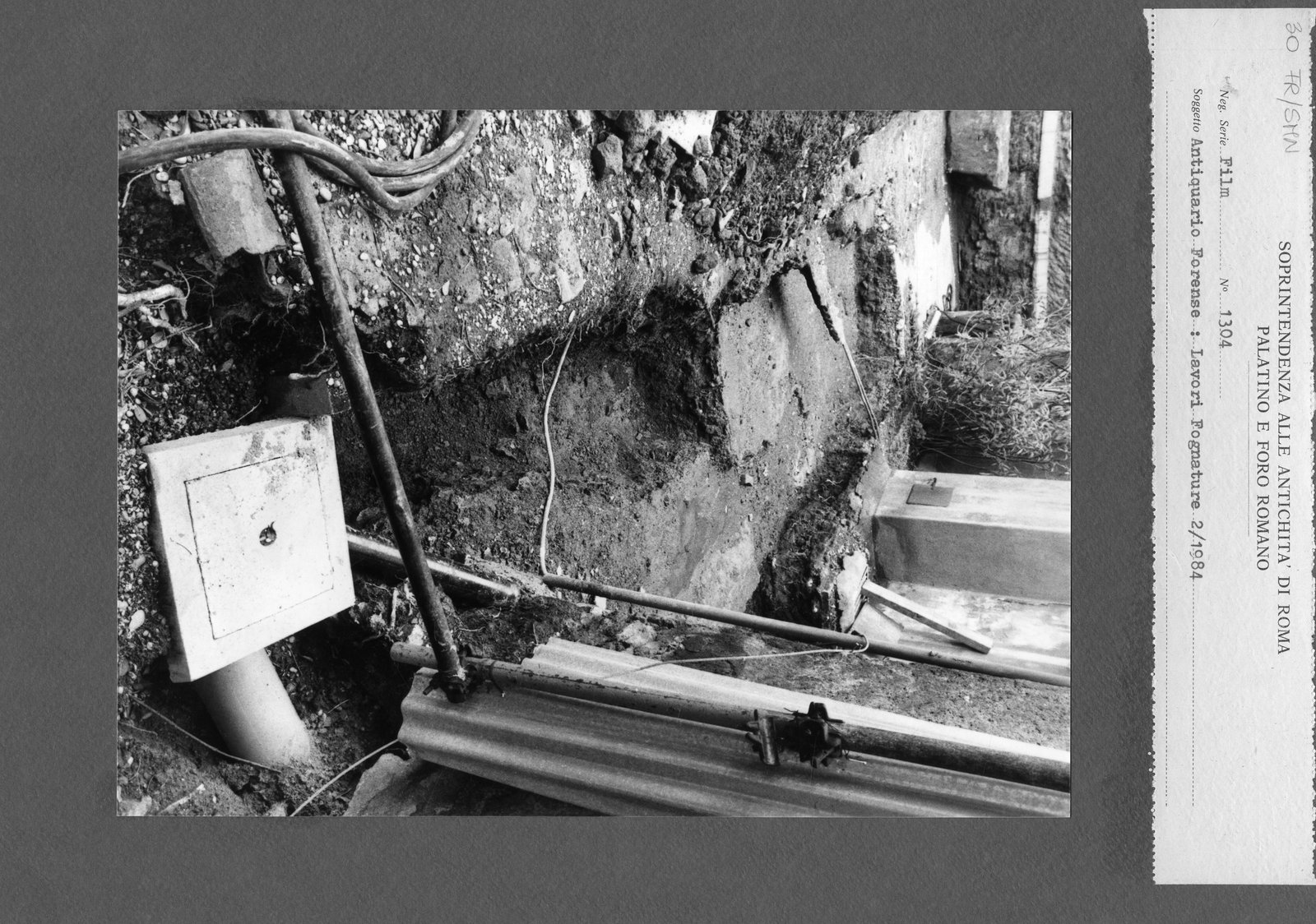 30 AP- SMN.tif