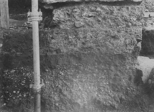  - Foro Romano. Area del Comizio e Lapis Niger