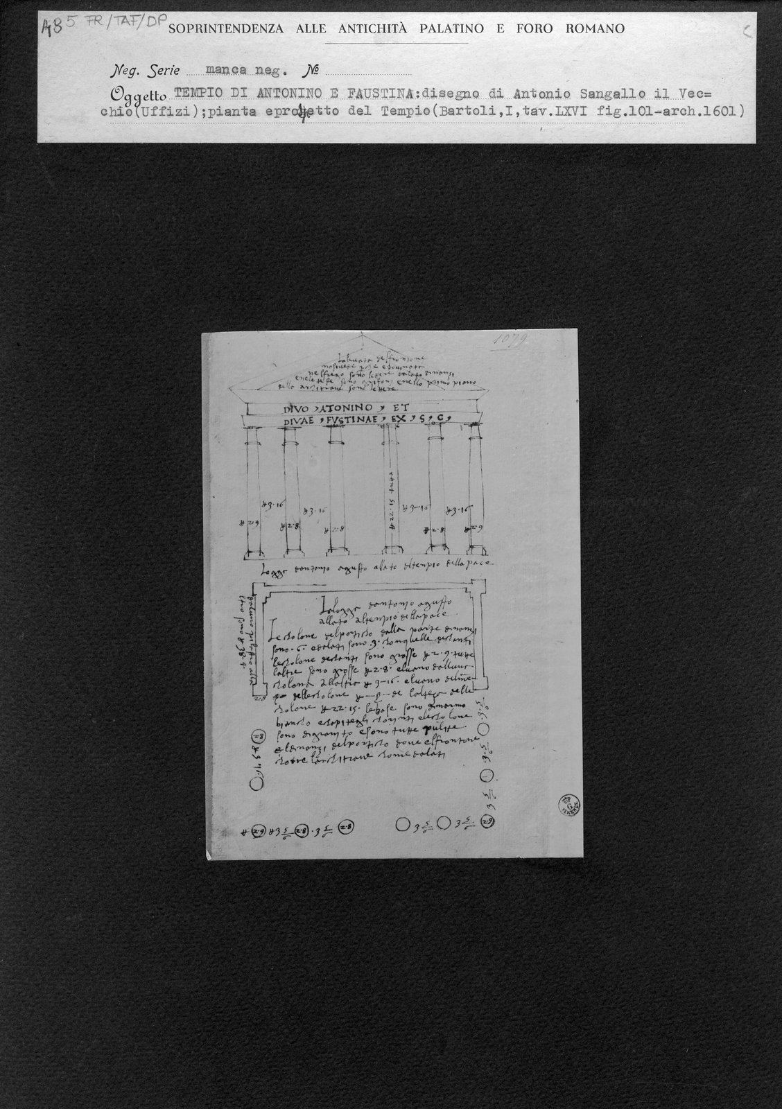 FR-TAF-DP 005.tif