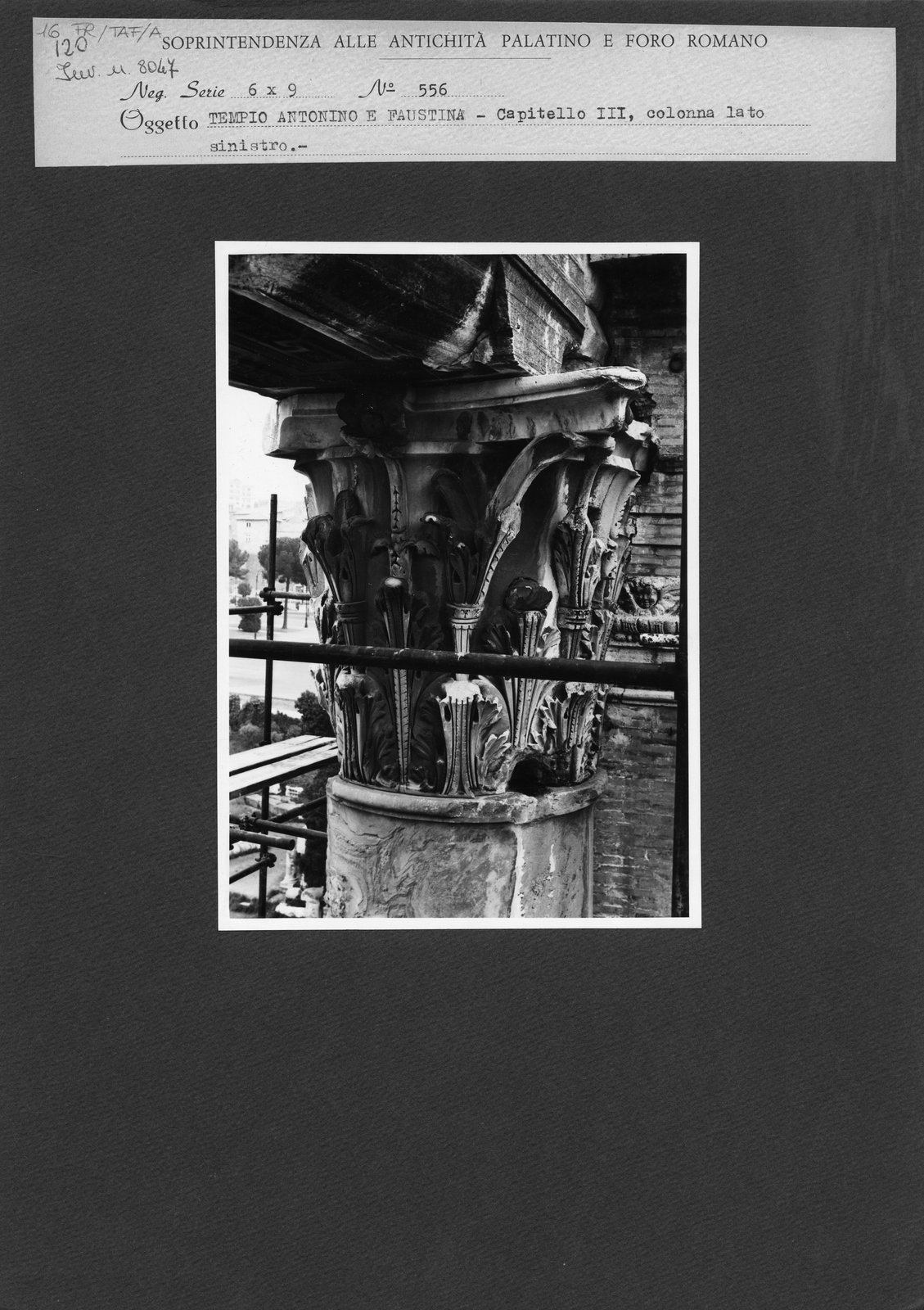 FR-TAF-A_016.tif
