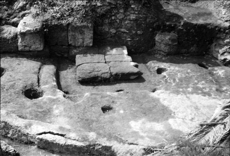 1-00001/ 07643/ 16771 - Roma - Palatino - Germalo