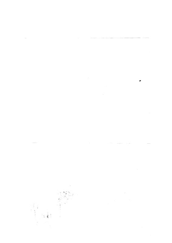 FR-TAF-V 006.tif