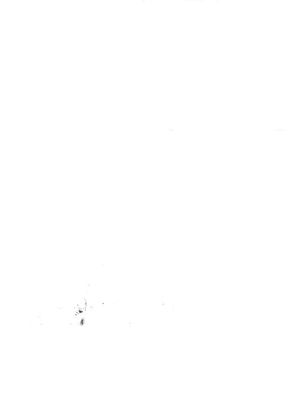 FR-TAF-V 014.tif