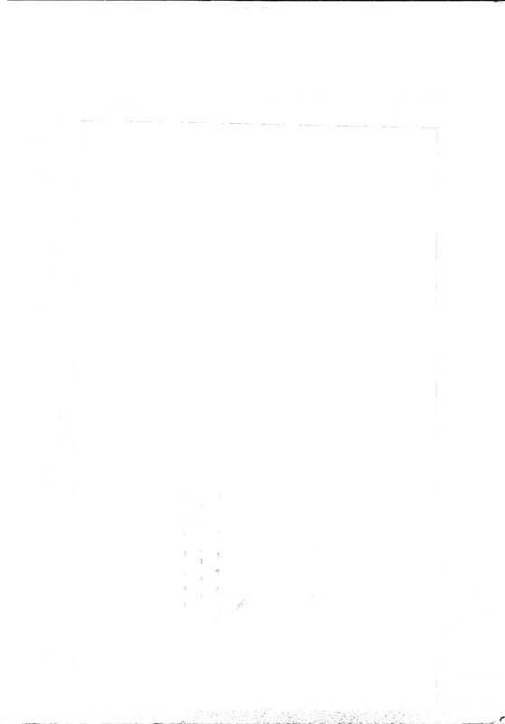FR-TAF-V 030.tif