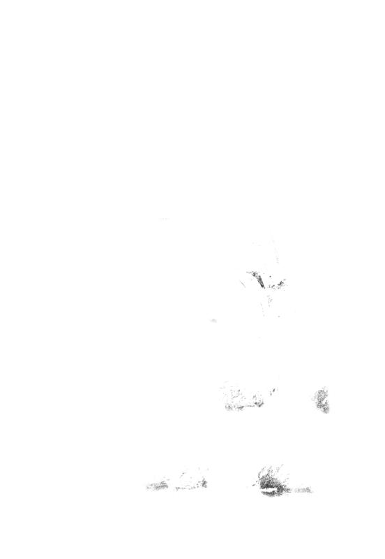 FR-TAF-V 084.tif