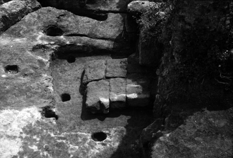 1-00001/ 07643/ 16771 - Roma - Palatino - Germalo