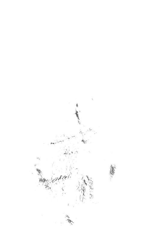 FR-TAF-V 085.tif