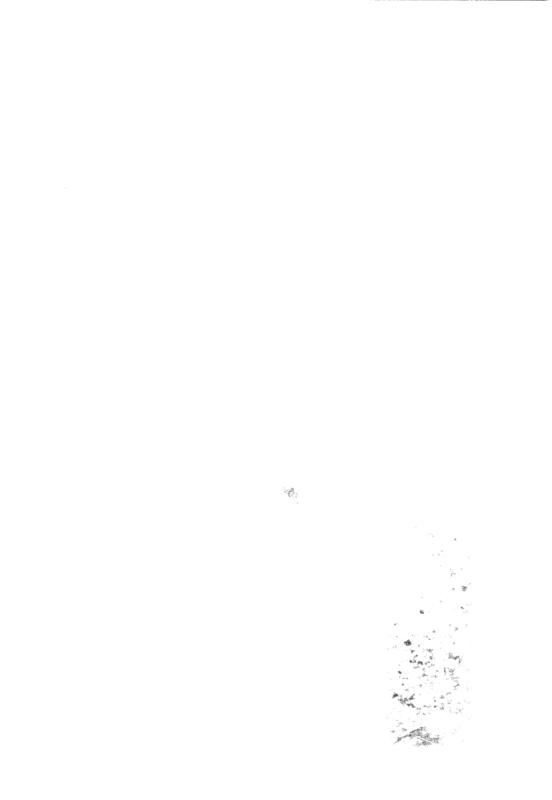 FR-TAF-V 087.tif