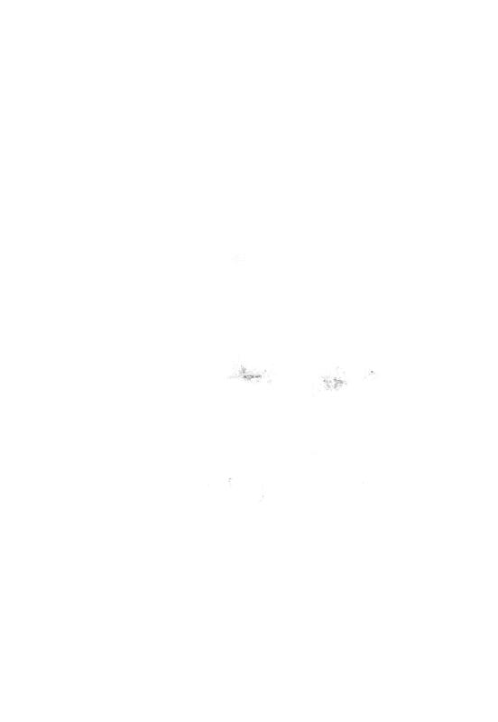 FR-TAF-V 091.tif