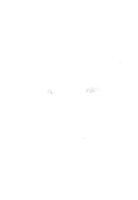 FR-TAF-V 093.tif