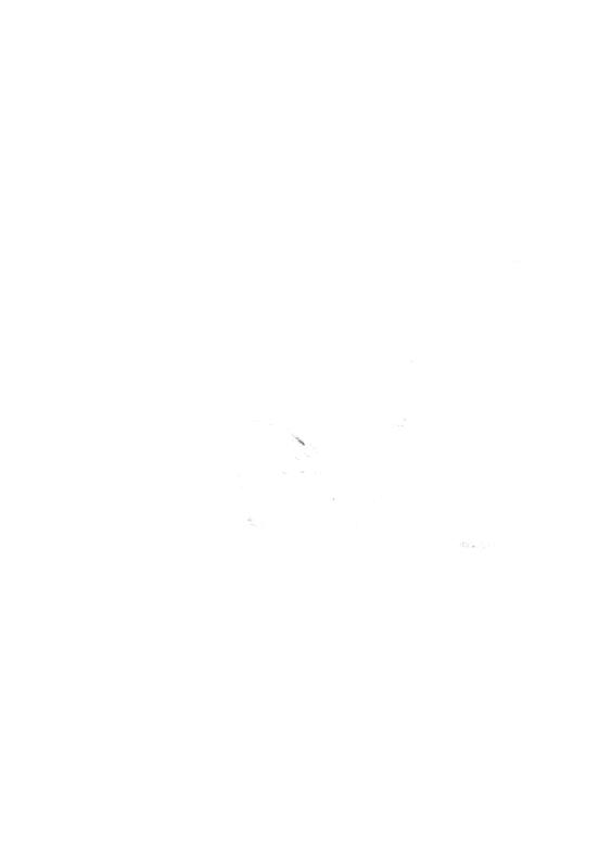 FR-TAF-V 095.tif