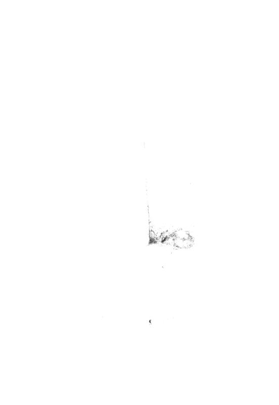 FR-TAF-V 100.tif