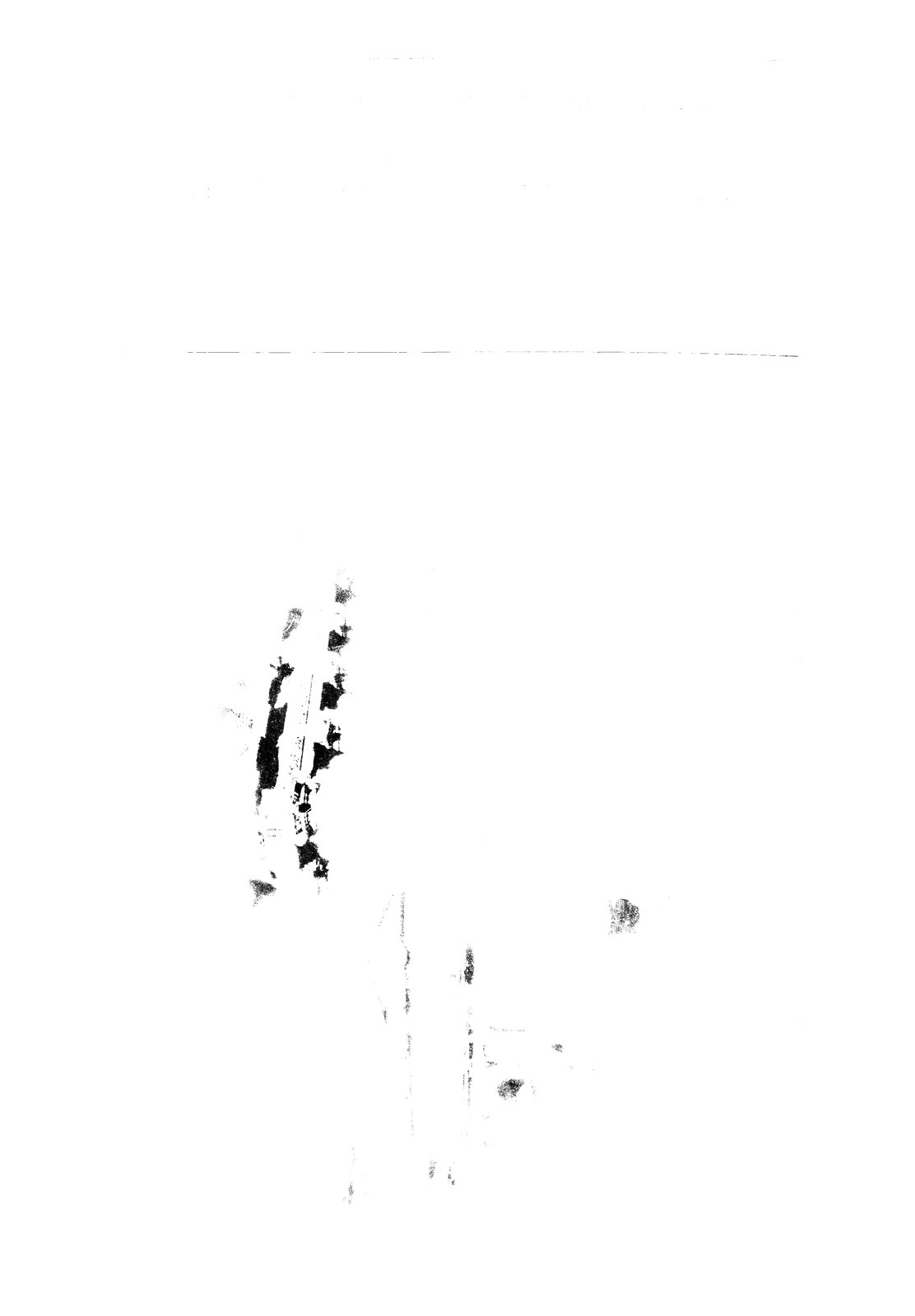 FR-TS-V 035.tif
