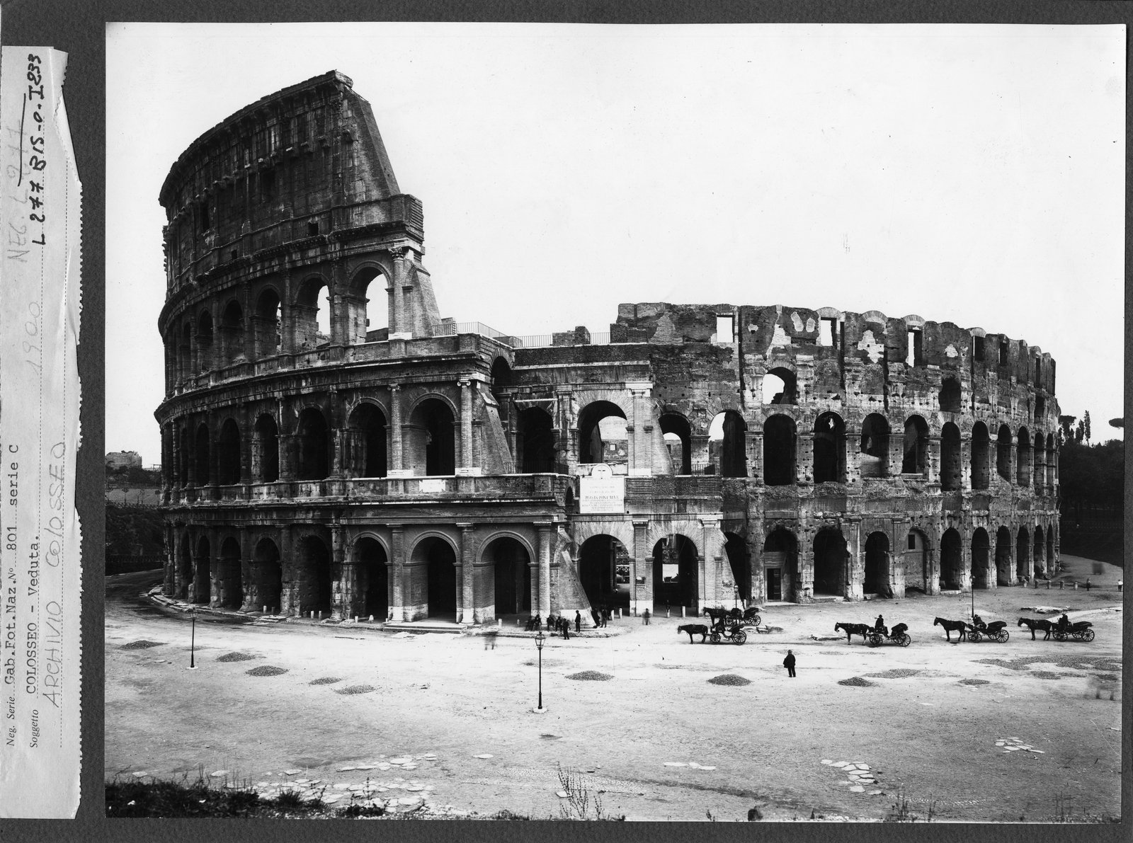 Schedone (neg. serie C n. 801).tif
