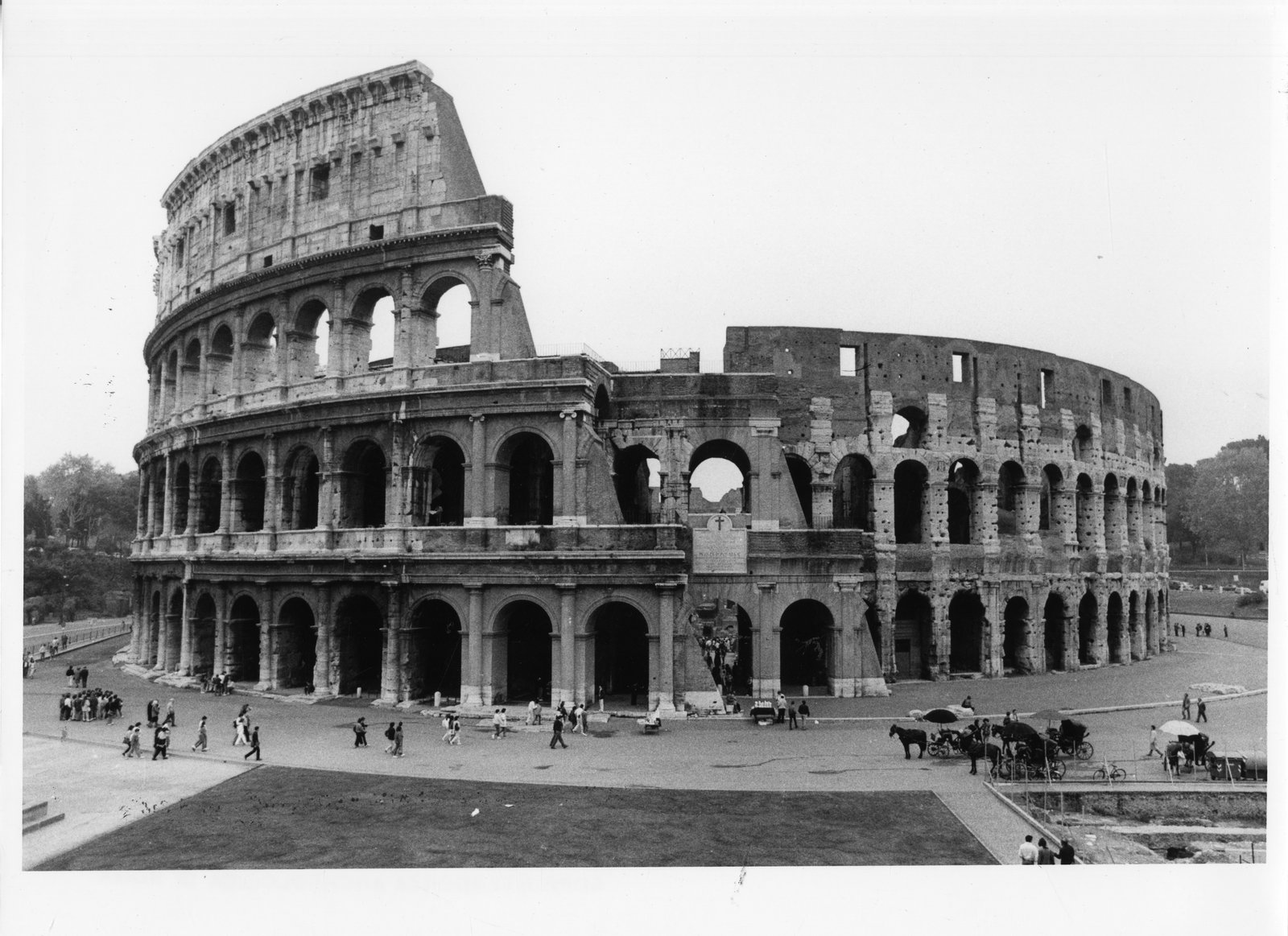 Colosseo - prospetto ovest.tif