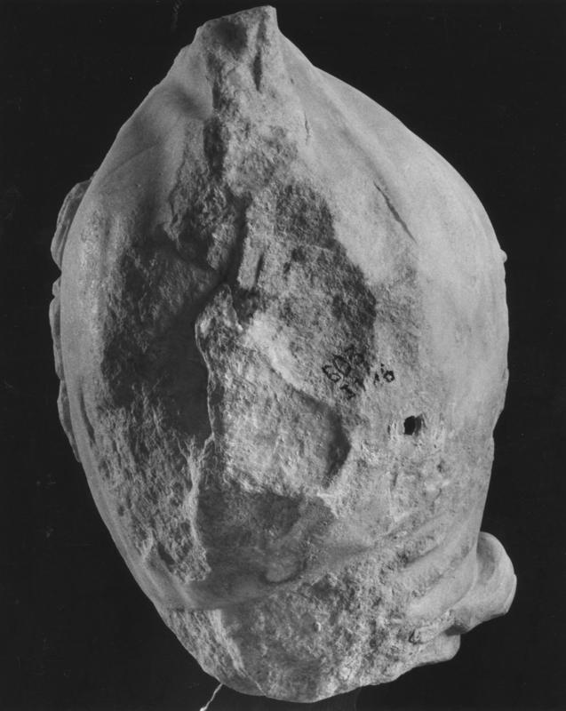 AP-SM  109-asf008208.jpg