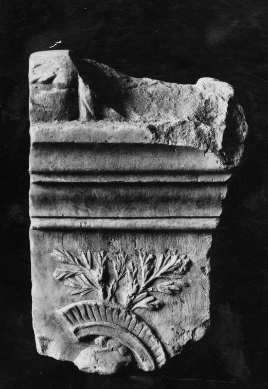 AP-AM 013-asf008243.jpg