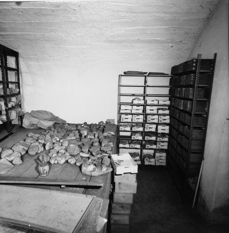 APPS009-asf001106.jpg