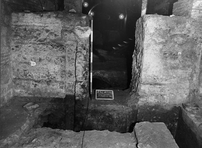 APPS015-asf001112.jpg