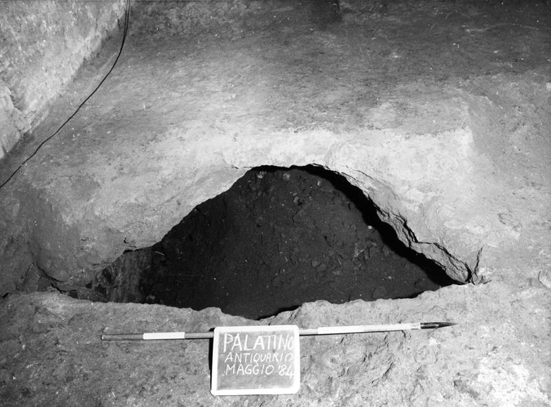 APPS020-asf001115.jpg