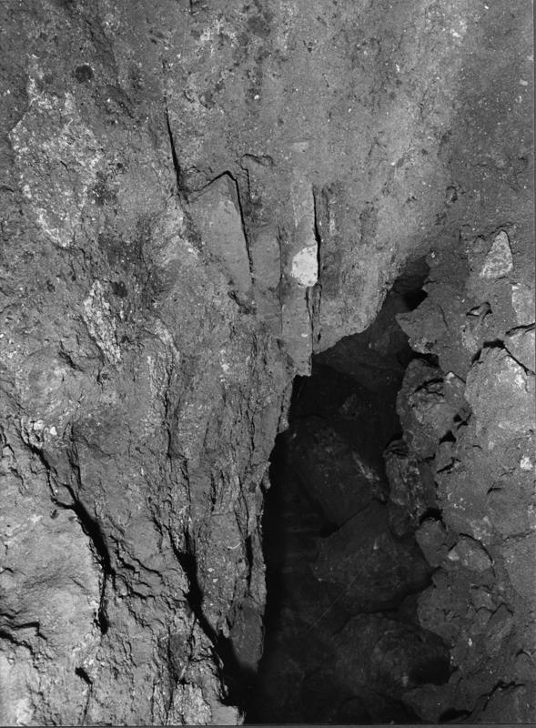 APPS030-asf001118.jpg