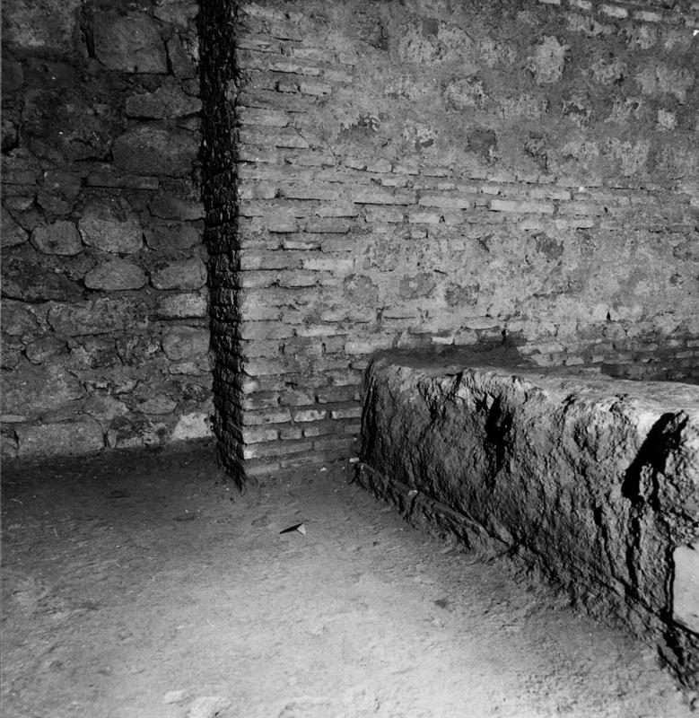 APPS047-asf001124.jpg