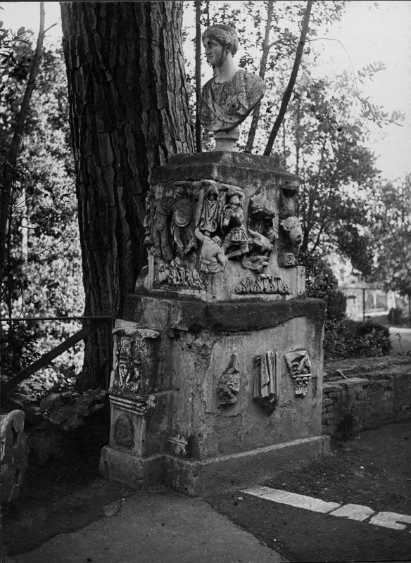 APSER003-asf001206.jpg
