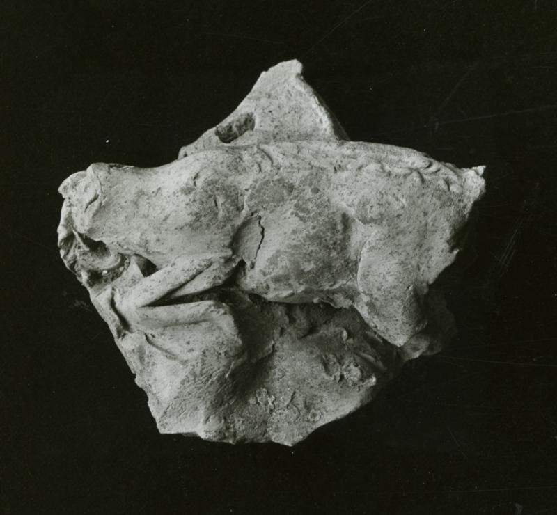 AP-SV011-asf001302.jpg