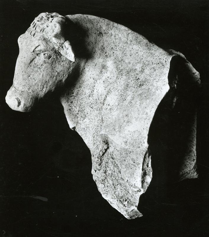 AP-SV030-asf001351.jpg