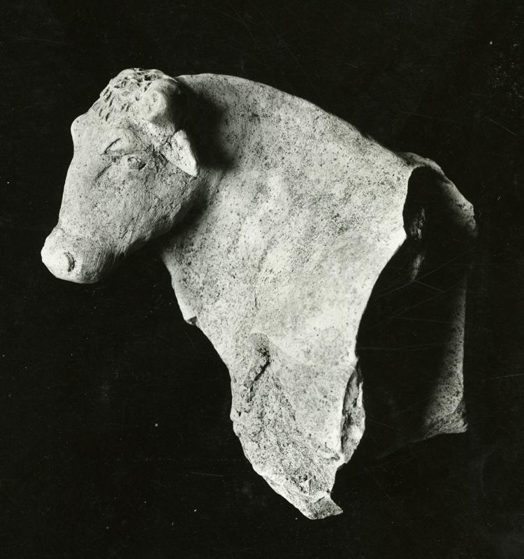 AP-SV029-asf001350.jpg