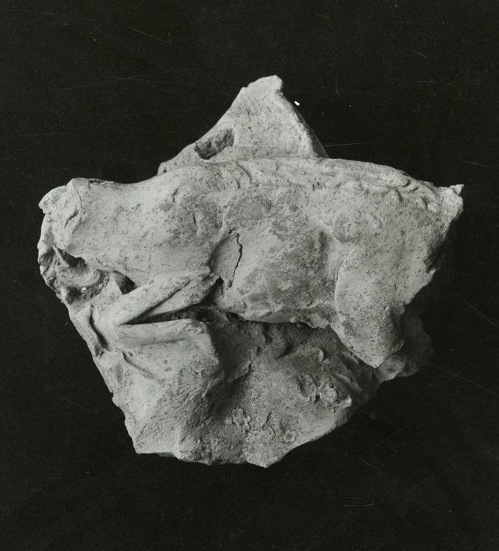 AP-SV031-asf001353.jpg
