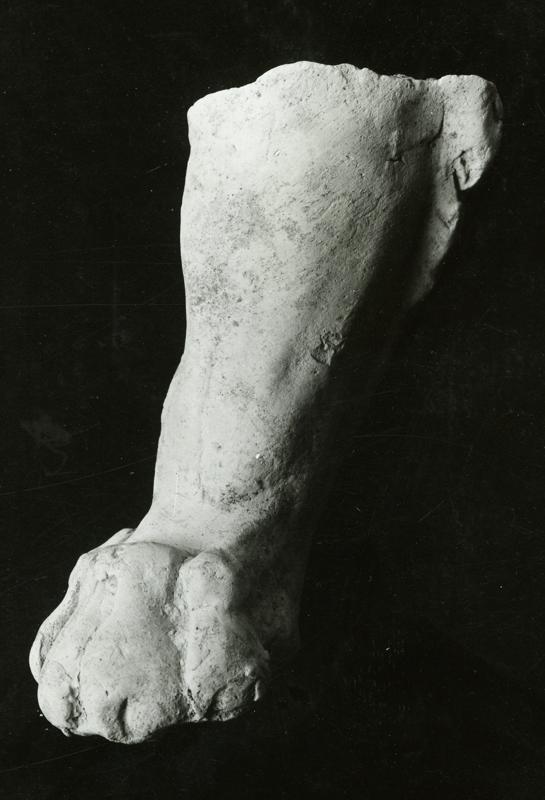 AP-SV031-asf001354.jpg