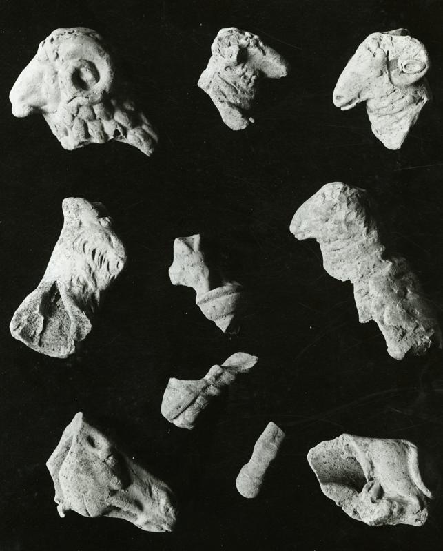 AP-SV032-asf001356.jpg