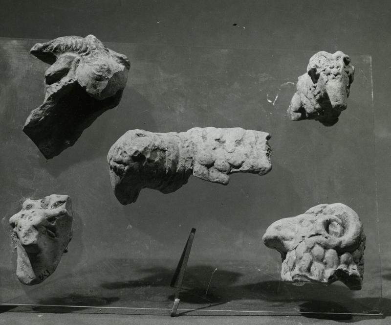 AP-SV033-asf001357.jpg