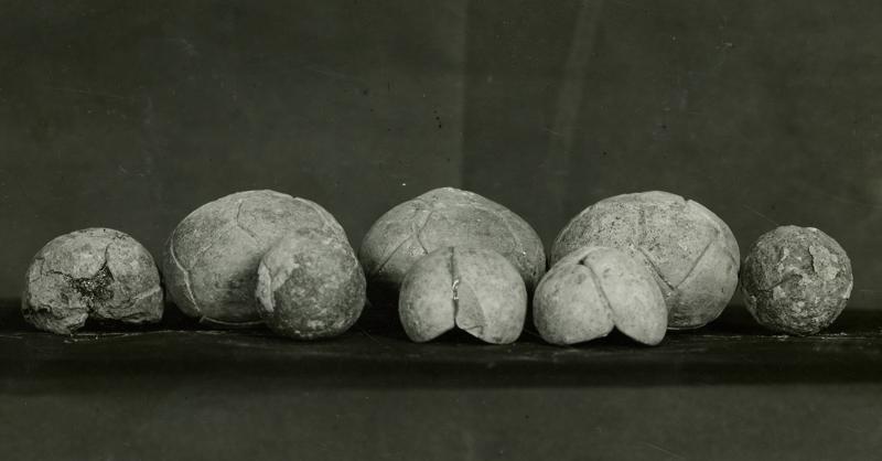 AP-SV035-asf001364.jpg