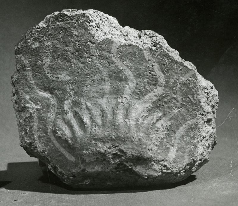 AP-SV037-asf001367.jpg