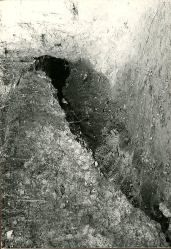 CA-CB-004-asf002305.jpg