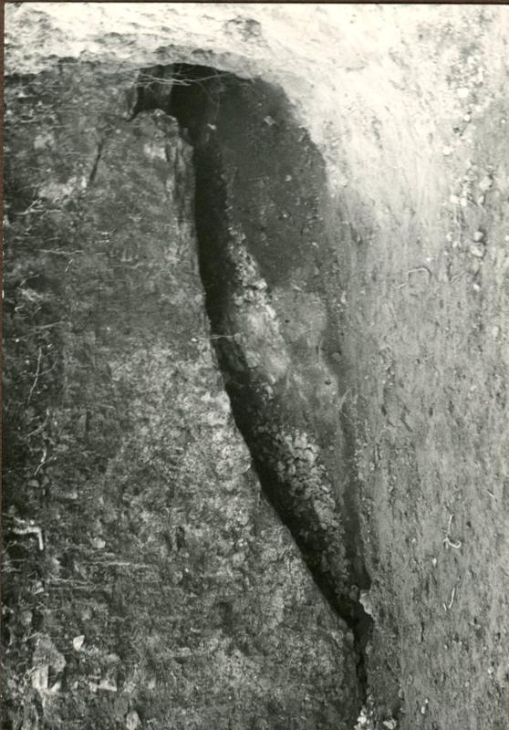 CA-CB-004-asf002307.jpg