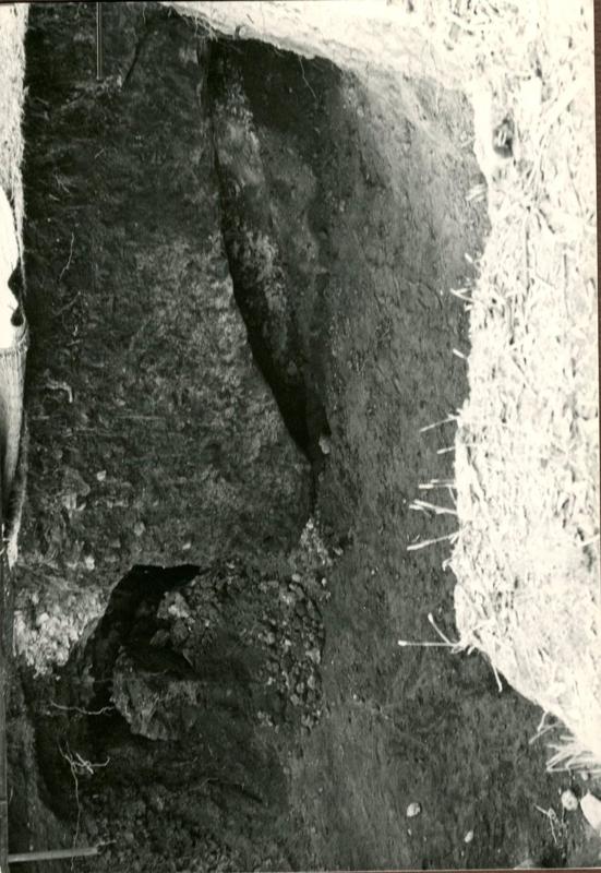 CA-CB-004-asf002308.jpg