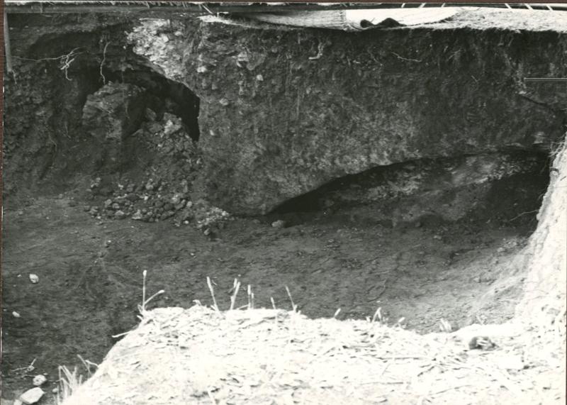 CA-CB-005-asf002310.jpg