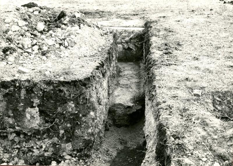 CA-PE-039-asf002487.jpg