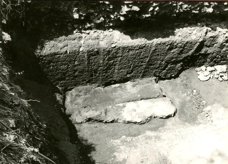 CA-PE-040-asf002488.jpg
