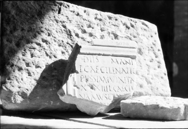 1-00001/ 07643/ 16771 - Roma - Foro Romano - Antiquarium Forense