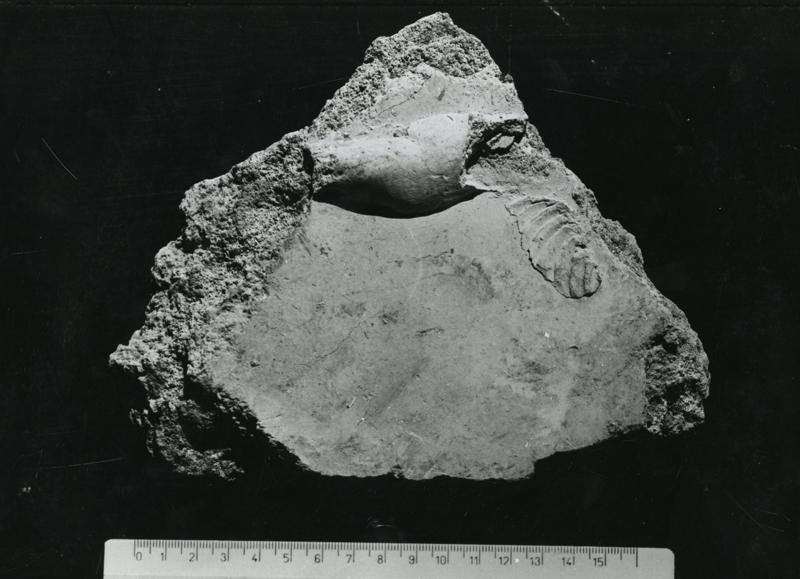 CA-STU-011-asf002601.jpg