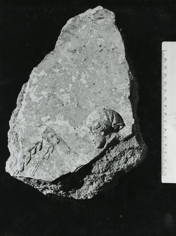 CA-STU-013-asf002621.jpg