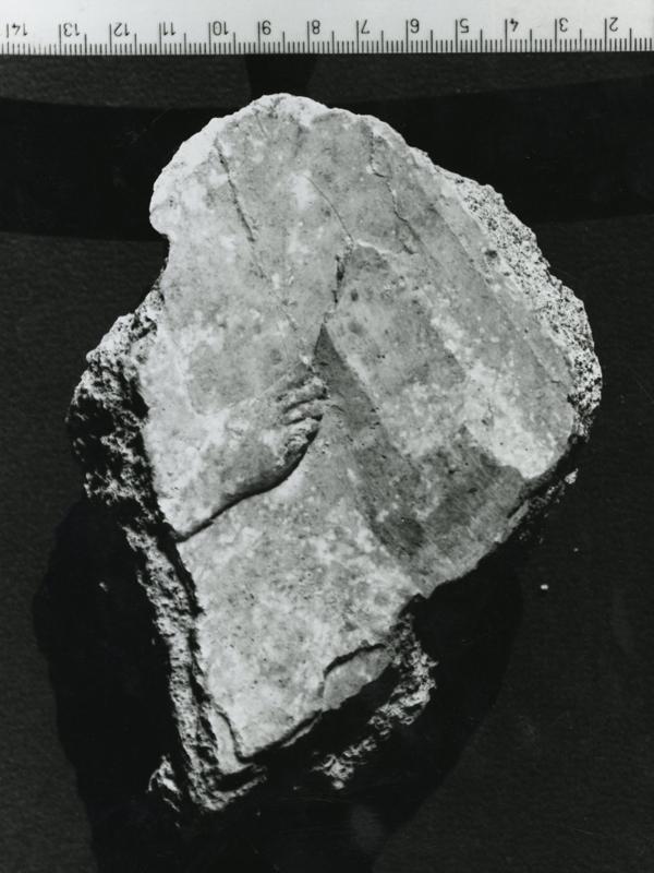CA-STU-014-asf002622.jpg