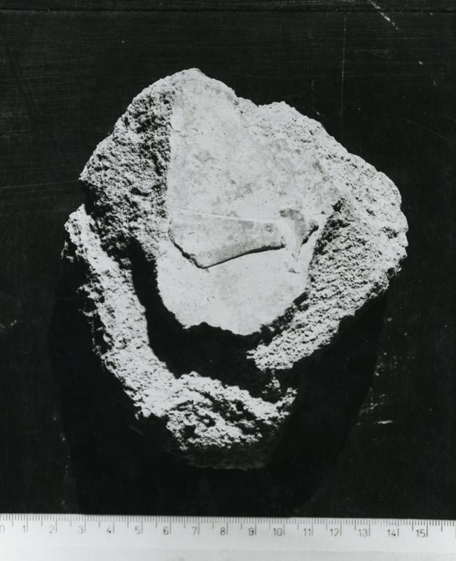 CA-STU-015-asf002623.jpg