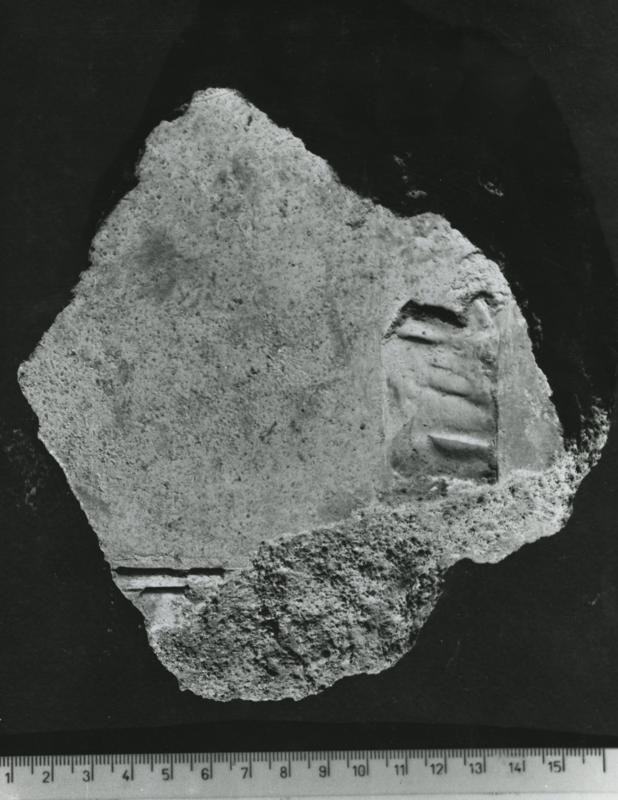 CA-STU-017-asf002625.jpg