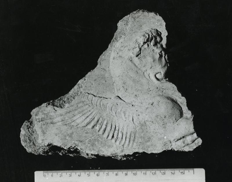 CA-STU-020-asf002628.jpg